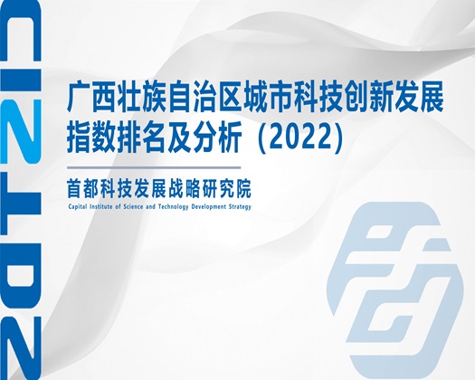 黄色小骚逼【成果发布】广西壮族自治区城市科技创新发展指数排名及分析（2022）